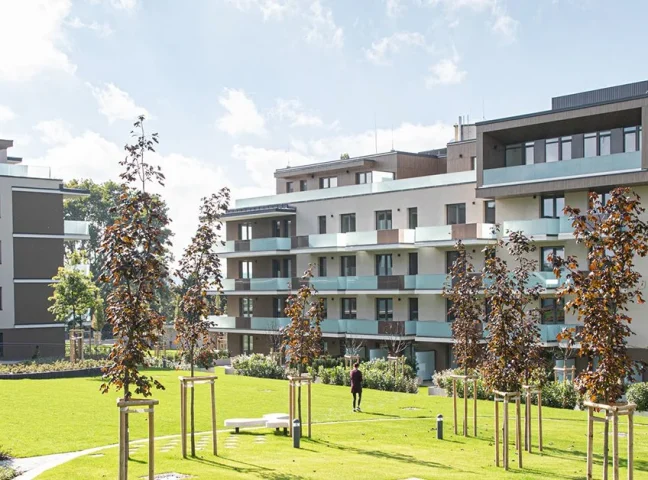 Sasad Resort